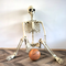 GhoulGuard | Scheletro di Halloween a grandezza naturale di 170 cm - decorazione da giardino mobile per una casa e un giardino infestati e spaventosi