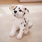 Juguete de peluche para cachorro, peluche suave, osito de peluche