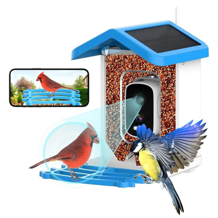 Comedouro inteligente para pássaros BirdieYou | Câmara 5MP Full HD com visão noturna e painel solar