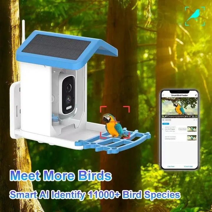 Comedouro inteligente para pássaros BirdieYou | Câmara 5MP Full HD com visão noturna e painel solar