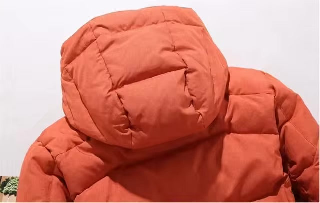 De Lars Veste d’Hiver Homme – Chaude, Imperméable, Capuche Ajustable et Poches Multiples