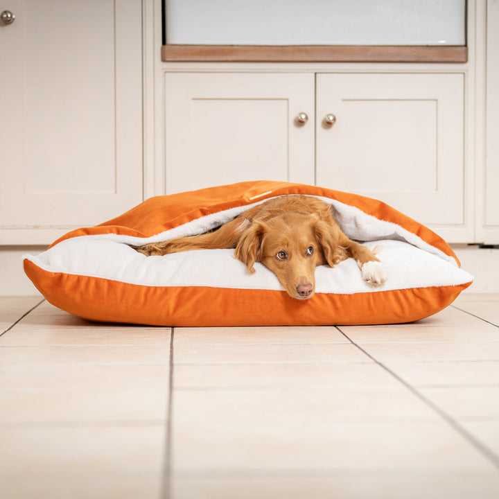 Panier pour Chien Sleepy Burrows en Velours Citrouille – Lit Douillet avec Capuche
