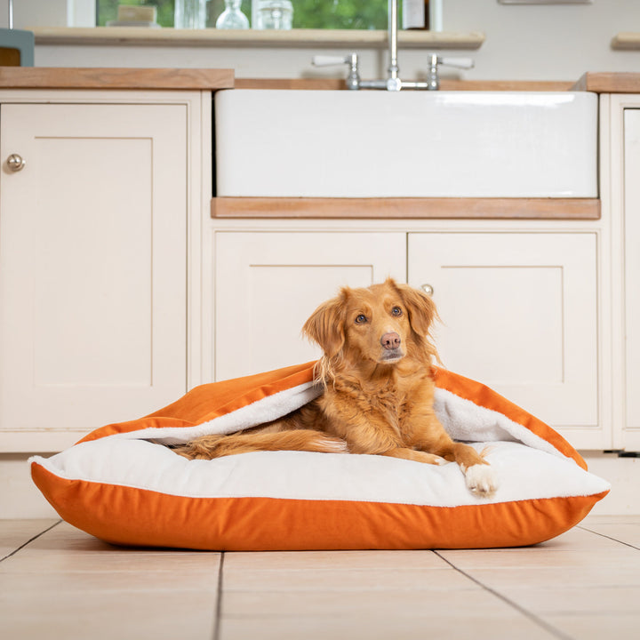 Panier pour Chien Sleepy Burrows en Velours Citrouille – Lit Douillet avec Capuche