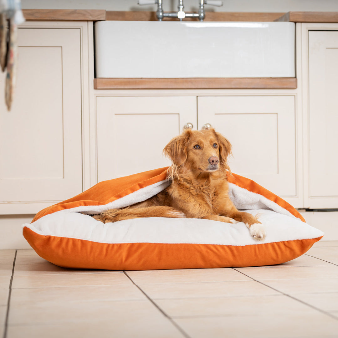 Panier pour Chien Sleepy Burrows en Velours Citrouille – Lit Douillet avec Capuche