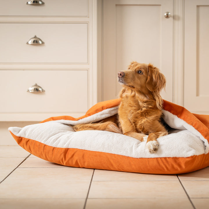 Panier pour Chien Sleepy Burrows en Velours Citrouille – Lit Douillet avec Capuche