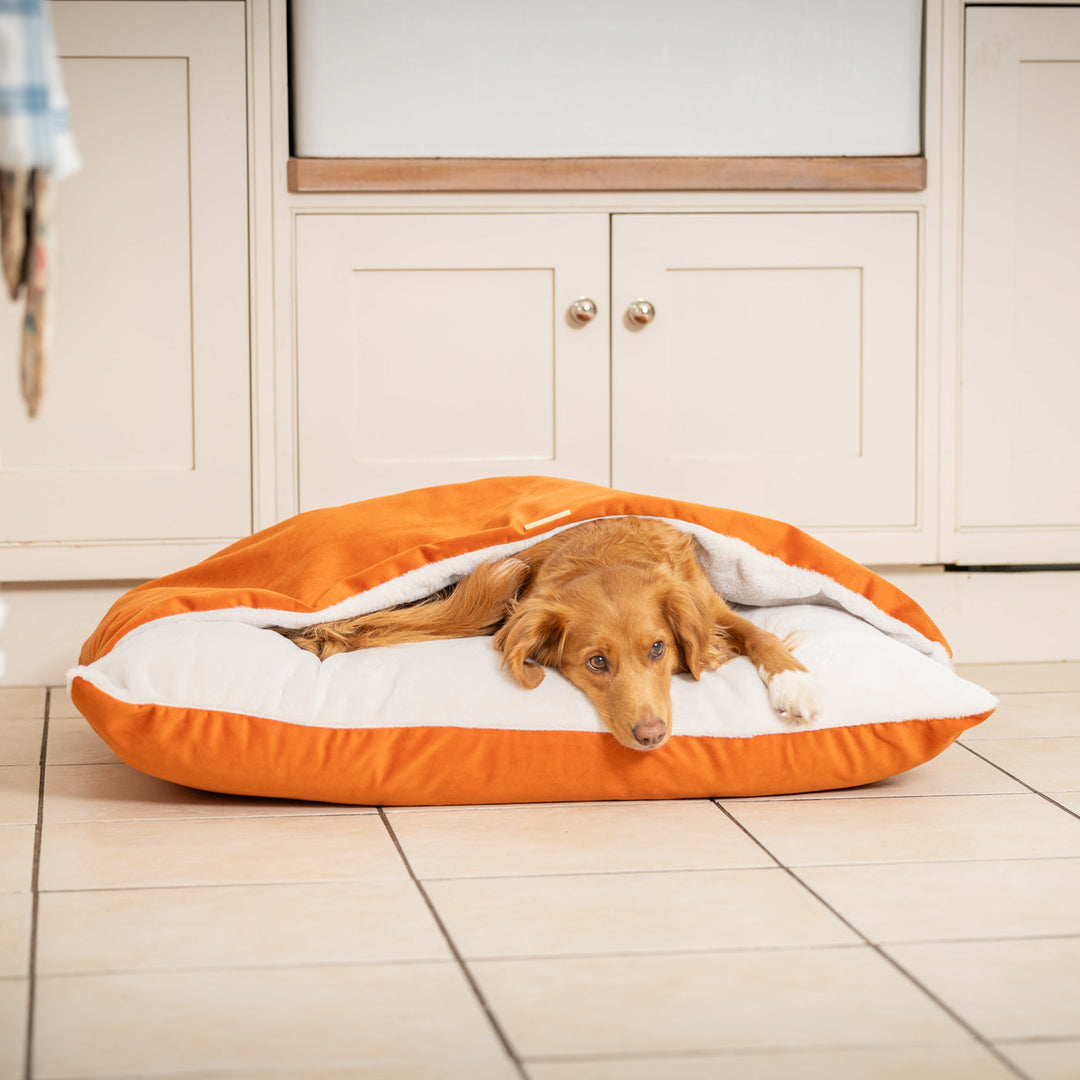 Panier pour Chien Sleepy Burrows en Velours Citrouille – Lit Douillet avec Capuche