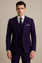 Costume tailleur 3 pezzi da uomo, viola - Completo classico autunnale