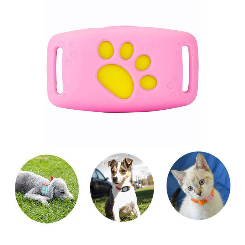 PetSafe Colar GPS para Animais | Seguimento em Tempo Real, À Prova de Água & Sem Assinatura