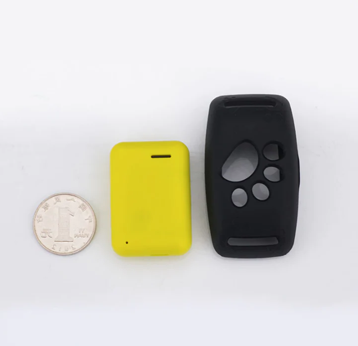 PetSafe Colar GPS para Animais | Seguimento em Tempo Real, À Prova de Água & Sem Assinatura
