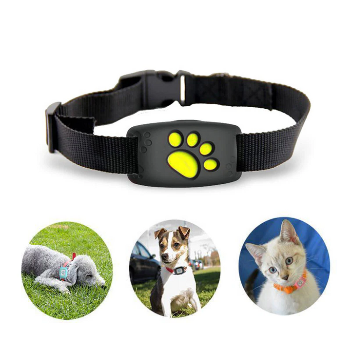 PetSafe Colar GPS para Animais | Seguimento em Tempo Real, À Prova de Água & Sem Assinatura